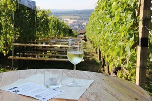 Pesterwitzer Wein