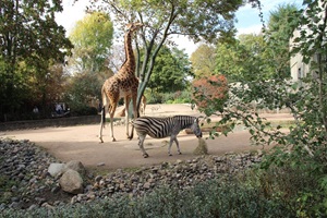 Zoo Dresden